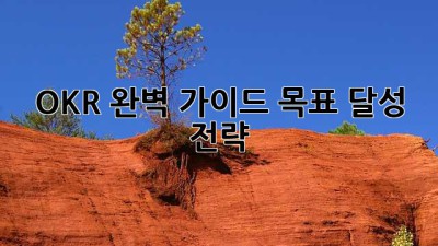 OKR 완벽 가이드: 목표 달성 전략
