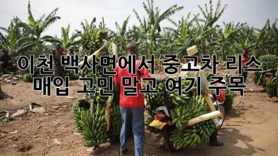 🚗 이천 백사면에서 중고차 리스 매입? 고민 말고 여기 주목! 👀