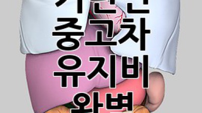 인제군 기린면 중고차 유지비 완벽 가이드